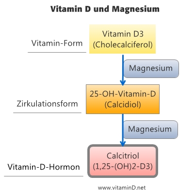 Fantasierijk kiezen Woestijn Vitamine D et magnésium